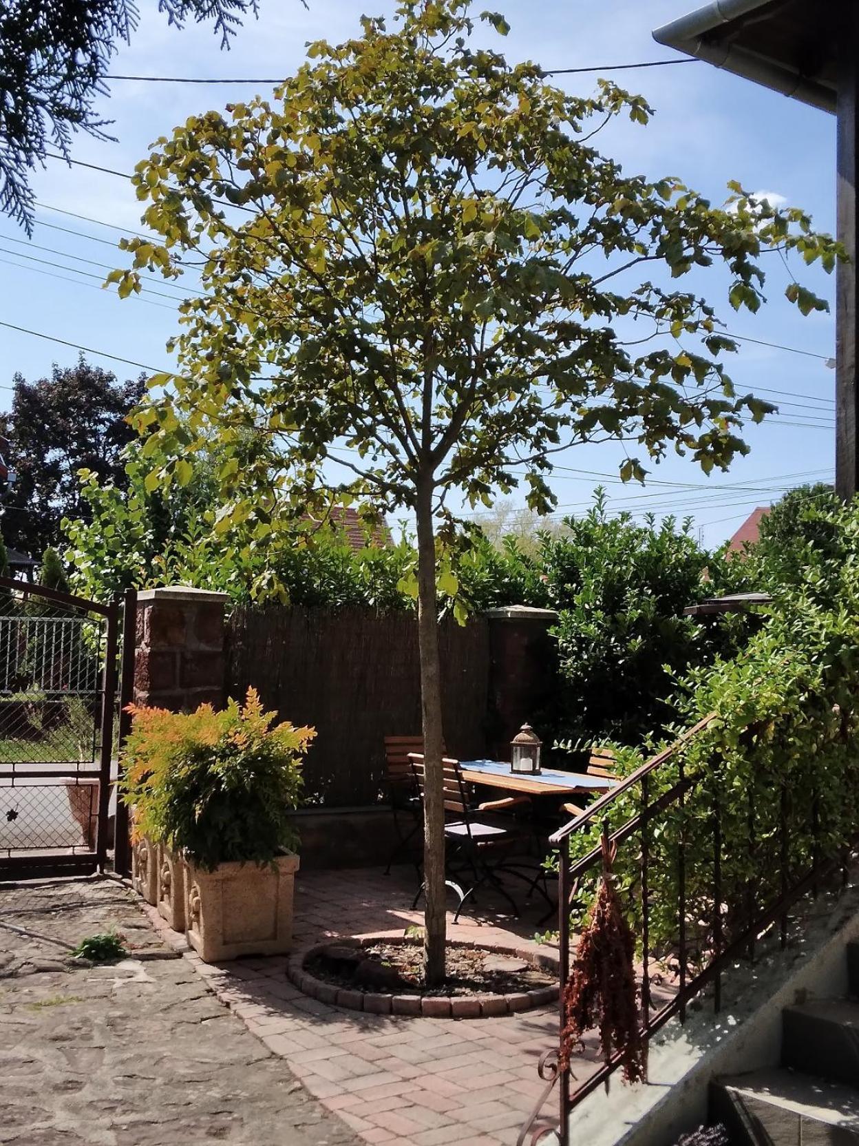 Siraly Haz Apartment Révfülöp Cameră foto